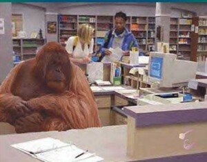 gorilla in library