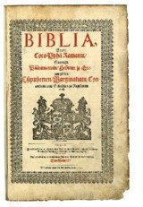 This is NOT Biblia's Guide to Warrior Librarianship